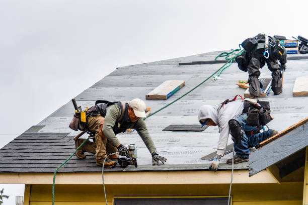 Professional Storm Damage Roof Repair technician working in Gobles, MI